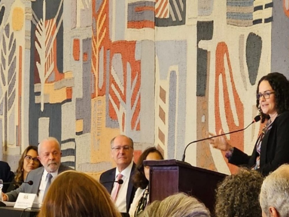 04052023_Democracia_LularecriaConselhão_ Site