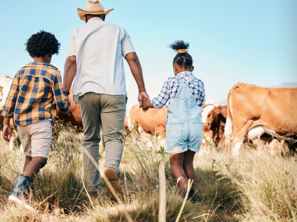 04062025_Contraf-CUT repudia ataques contra a CONTAG_ Site