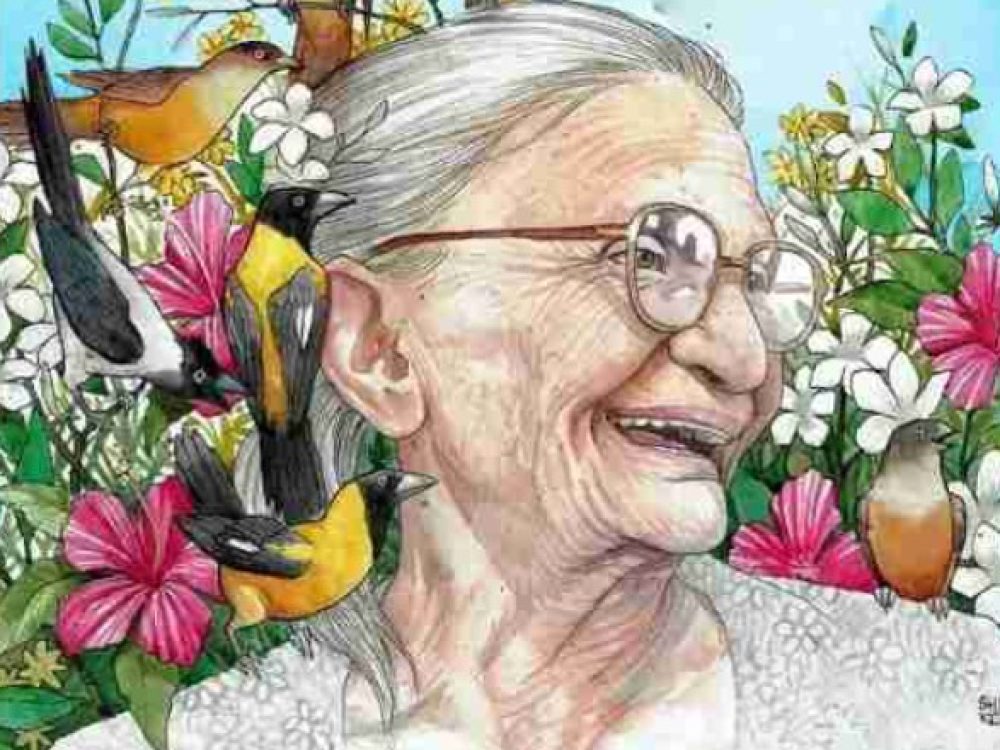 13022025_ElizabethTeixeira_100anos_ Site