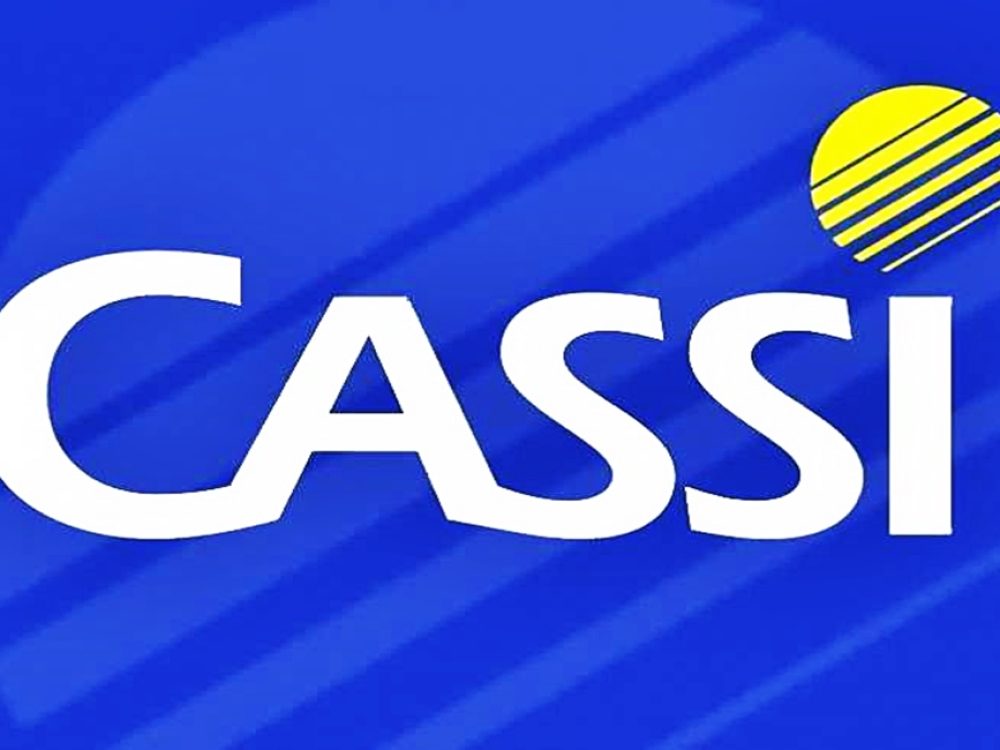 170412019_cassivotesim