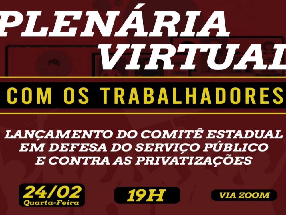 22022021_PlenáriadeLançamentoComitêEstadual_Site_1