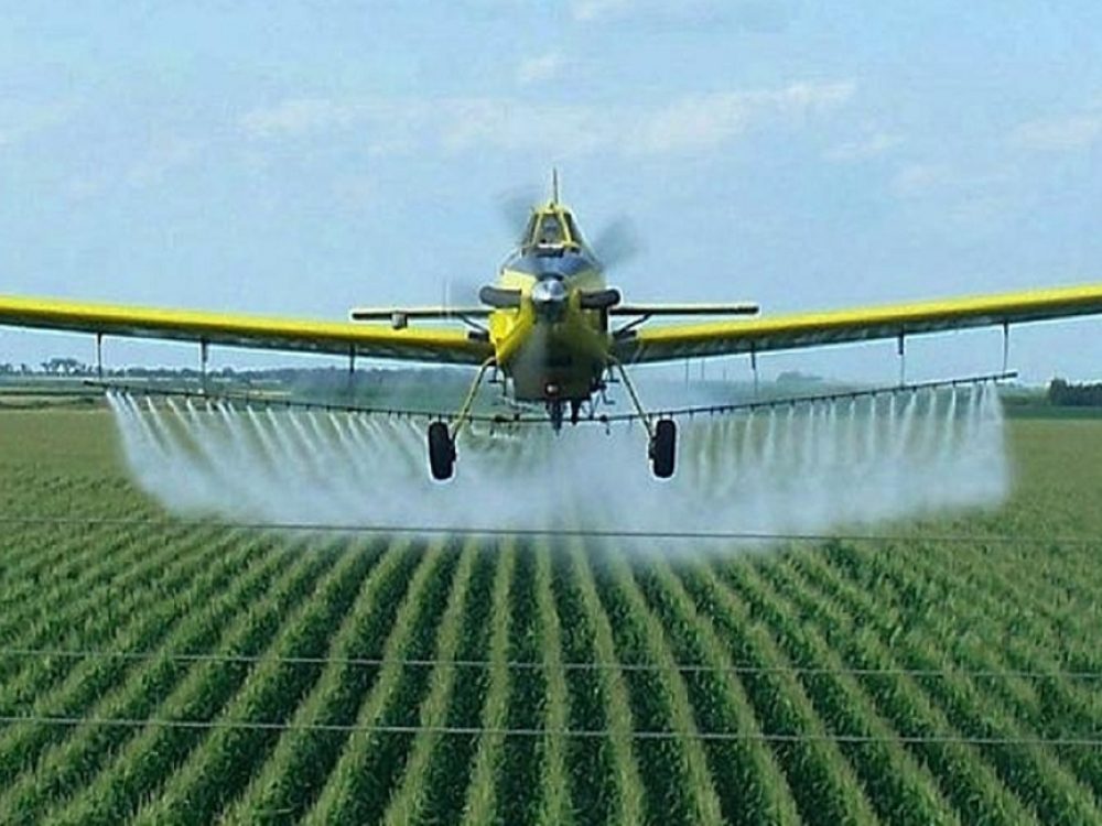 23022022_Agrotóxico_Site