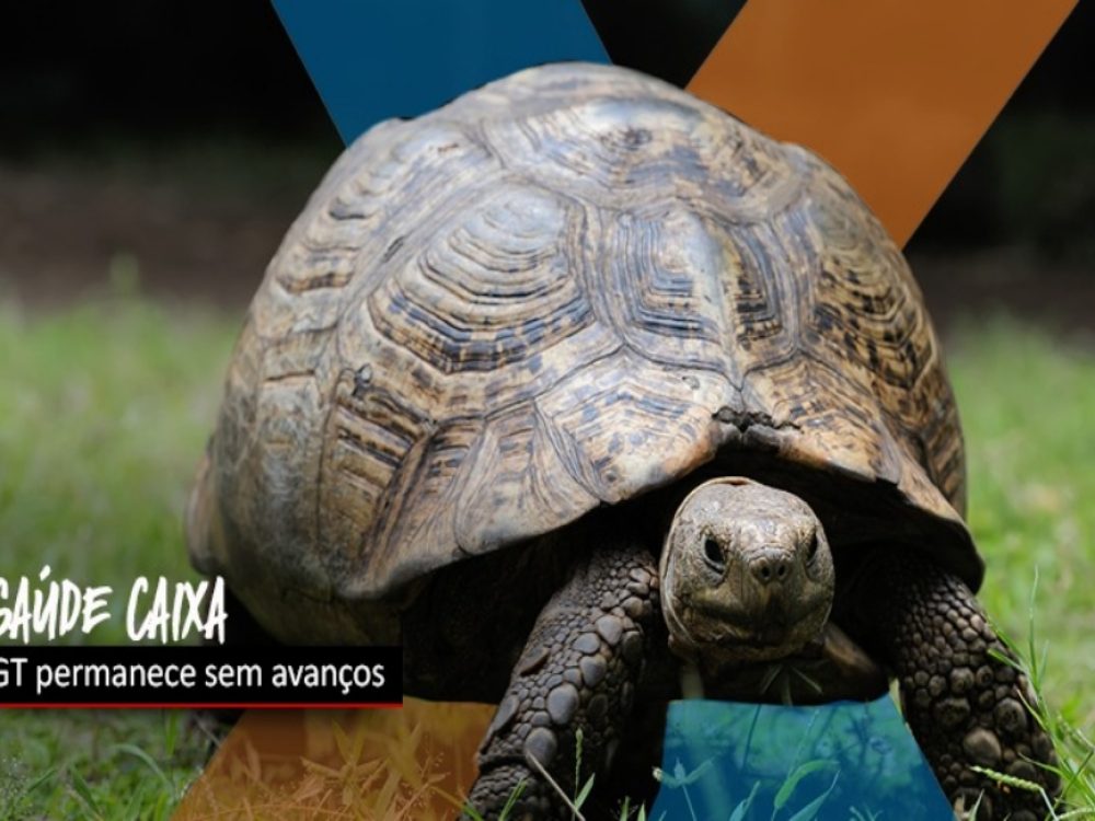 24062021_Caixa_SaúdeCaixaempacou_Site