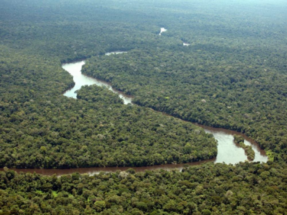 7d5fda9a32d8281b53c6da216e4662d2[1]