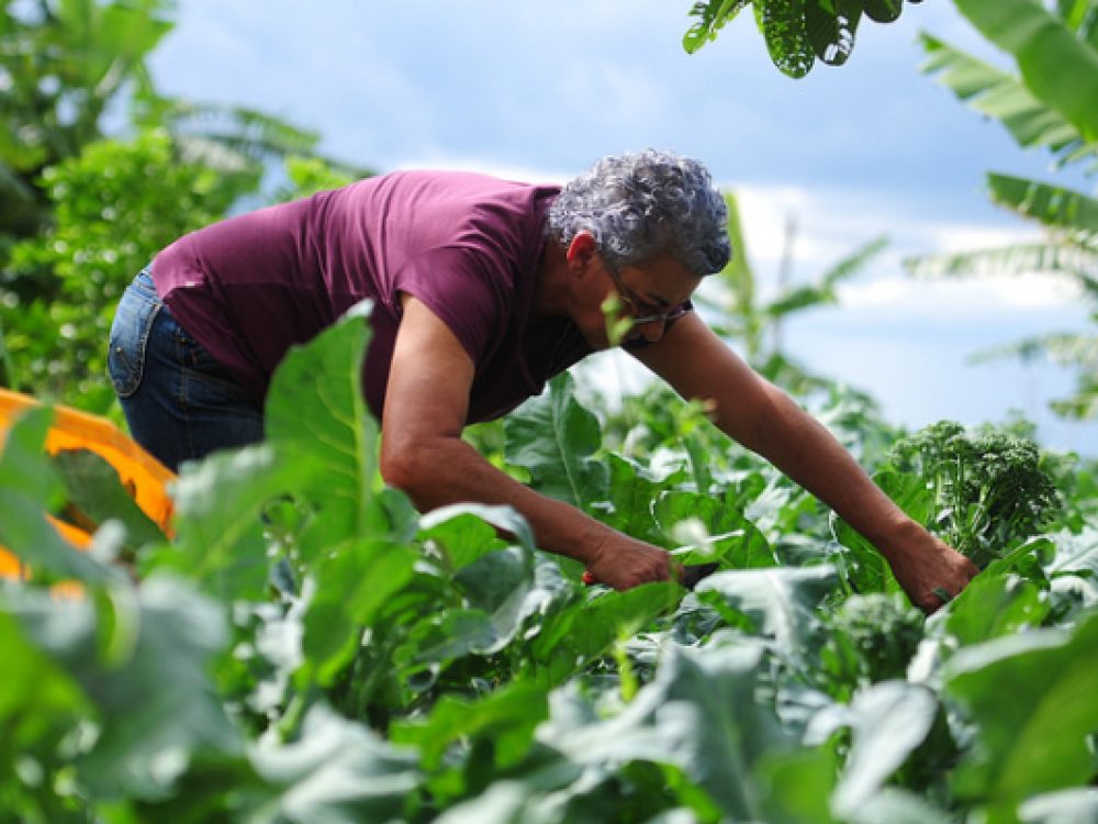 8fee32f33b9e1f32105054848766d389[1]