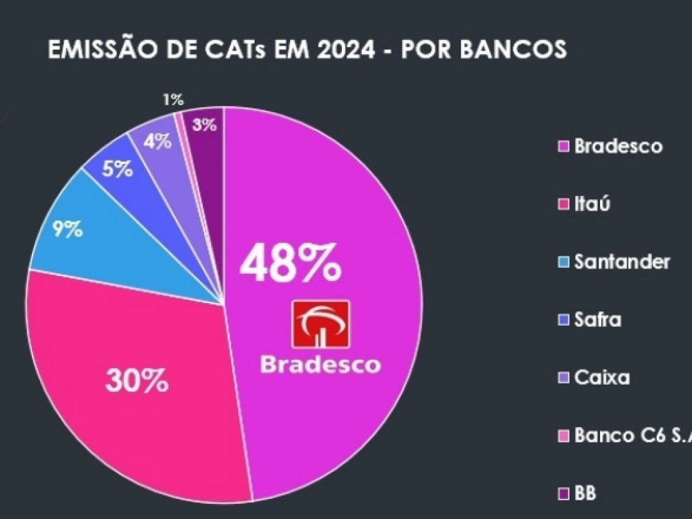 Emissão de CATs em 2024 - Por Bancos_ Site_vf