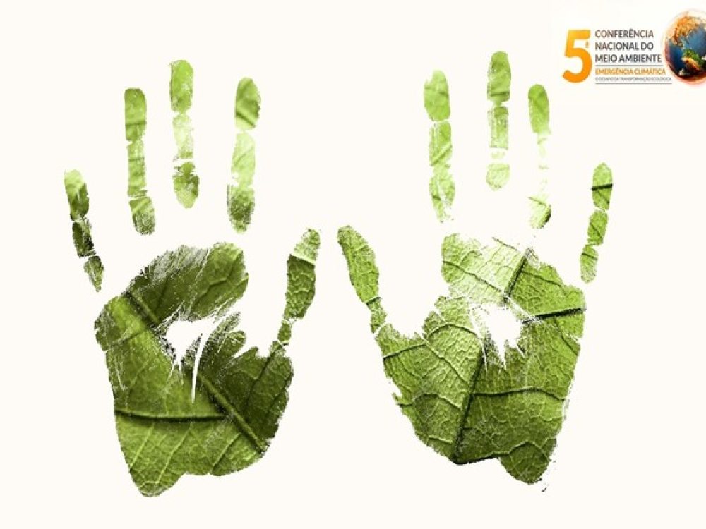 WhatsApp Image 2025-01-09 at 11.49.24