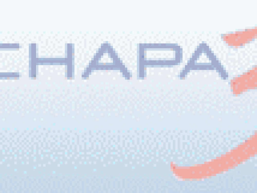 chapa_3_-_previ.gif