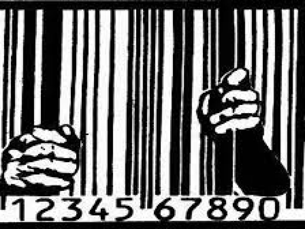 cogidodebarras grades