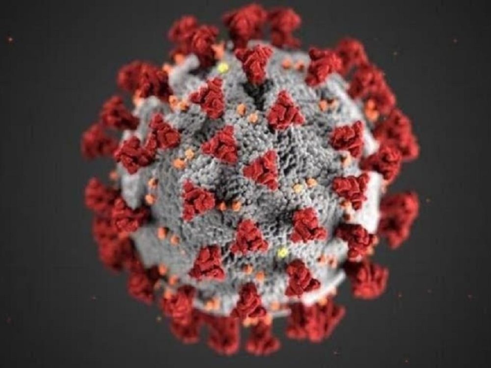 coronavirus-pagina-especial_4_0[1]