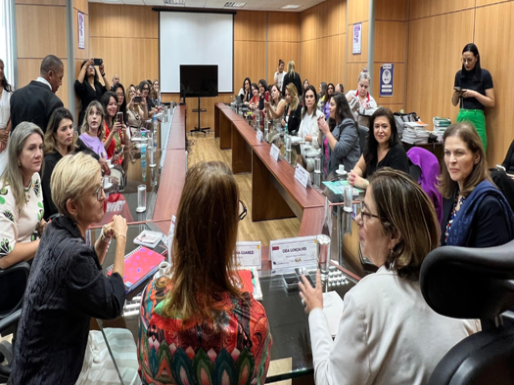 reuniao ministra das mulheres e dani
