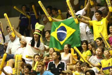 brasil_na_copa_2010.jpg