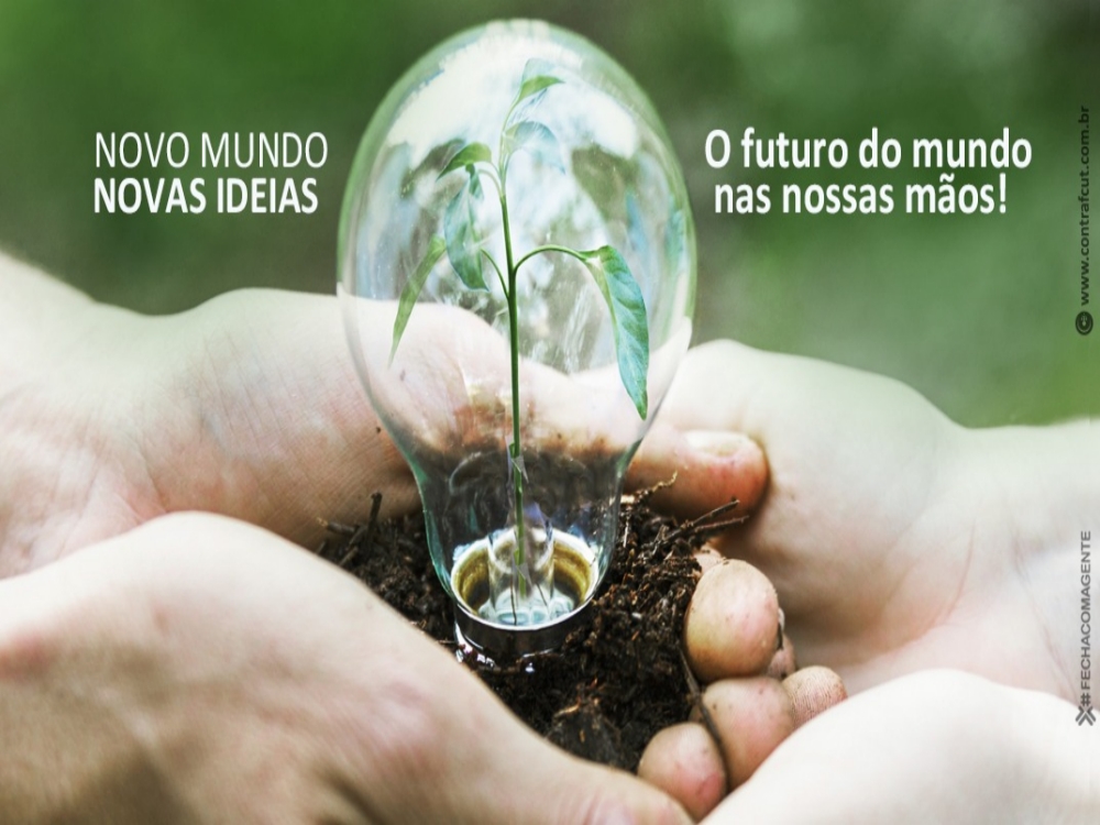 05062025_Dia Mundial do Meio Ambiente - um chamado urgente à ação coletiva pelo planeta_ Site
